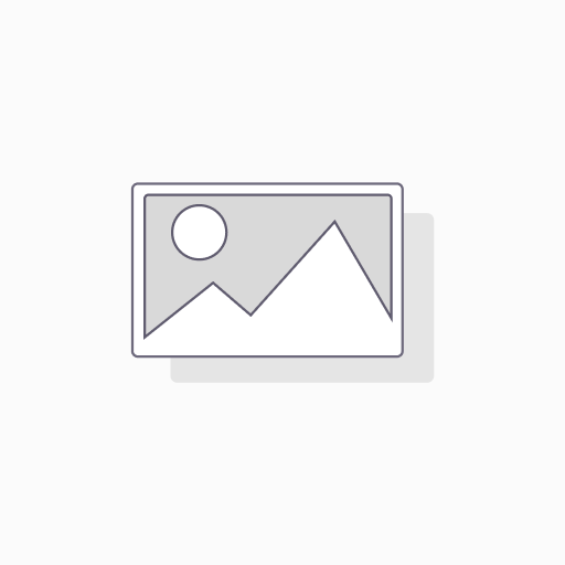 Convex Wall Stop 26D